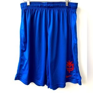 Nike Manny Pacquiao training shorts.